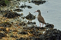 12 02 15_1475_edited-2